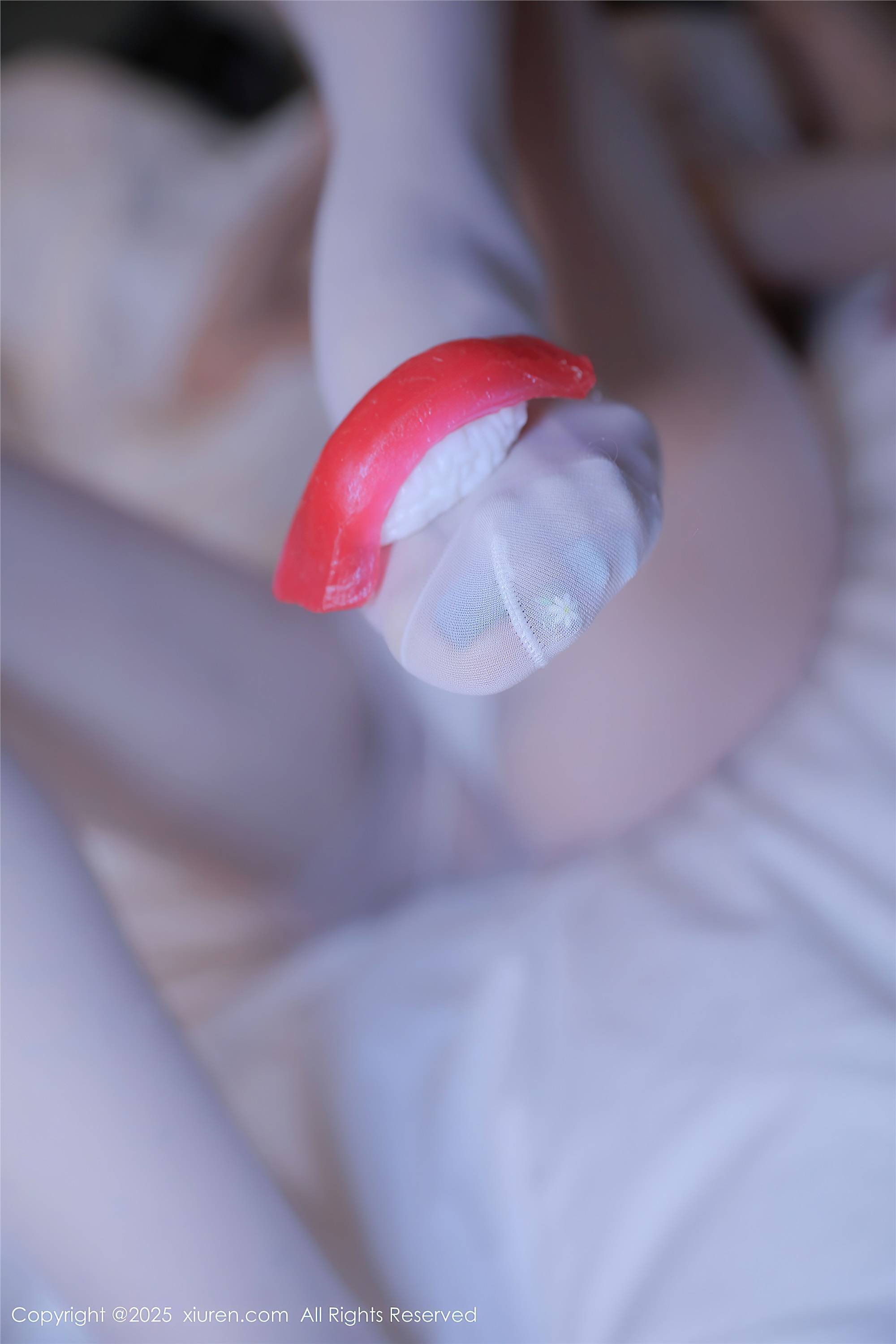 Xiuren秀人网 2025.02.21 NO.9916 伊一Moon